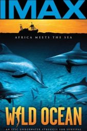Nonton Film Wild Ocean 2008 JF Sub Indo