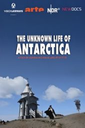 Nonton Film The Unknown Life of Antarctica 2019 JF Sub Indo