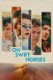 Nonton Film On Swift Horses 2025 JF Sub Indo Nonton Film On Swift Horses 2025 JF Sub Indo