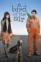 Nonton Film A Bird of the Air 2011 JF Sub Indo Nonton Film A Bird of the Air 2011 JF Sub Indo