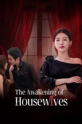 Nonton Film The Awakening of Housewives 2025 Sub Indo