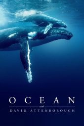 Nonton Film Ocean with David Attenborough 2025 JF Sub Indo Nonton Film Ocean with David Attenborough 2025 JF Sub Indo