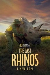 Nonton Film The Last Rhinos: A New Hope 2025 Sub Indo