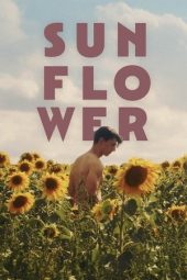 Nonton Film Sunflower 2024 JF Sub Indo