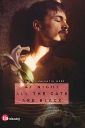 Nonton Film At Night All the Cats Are Black 2023 JF Sub Indo