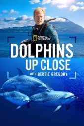 Nonton Film Dolphins Up Close with Bertie Gregory 2025 Sub Indo