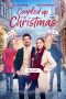 Nonton Film Coupled Up for Christmas 2023 JF Sub Indo Nonton Film Coupled Up for Christmas 2023 JF Sub Indo