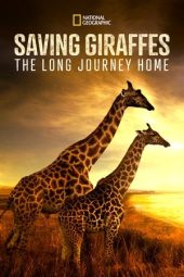 Nonton Film Saving Giraffes: The Long Journey Home 2022 Sub Indo