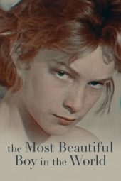 Nonton Film The Most Beautiful Boy in the World 2021 JF Sub Indo