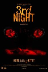 Nonton Film 3rd Night 2017 Sub Indo