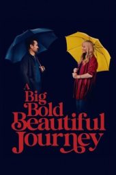 Nonton Film A Big Bold Beautiful Journey 2025 Sub Indo