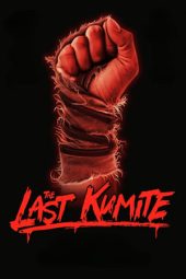 Nonton Film The Last Kumite 2024 JF Sub Indo