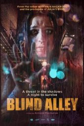 Nonton Film Blind Alley 2011 Sub Indo