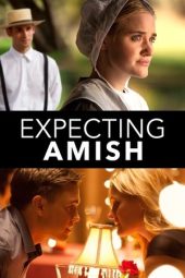 Nonton Film Expecting Amish 2014 Sub Indo