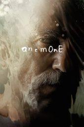 Nonton Film Anemone 2025 Sub Indo Nonton Film Anemone 2025 Sub Indo