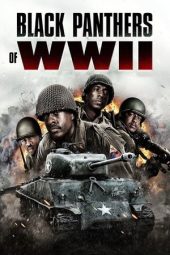 Nonton Film Black Panthers of WWII 2025 Sub Indo Nonton Film Black Panthers of WWII 2025 Sub Indo