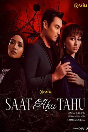 Nonton SAAT AKU TAHU 2025 Sub Indo