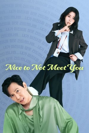 Nonton Nice to Not Meet You 2025 Sub Indo