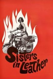 Nonton Film Sisters in Leather 1969 Sub Indo