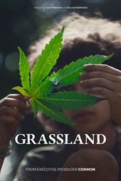 Nonton Film Grassland 2024 Sub Indo