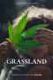 Nonton Film Grassland 2024 Sub Indo Nonton Film Grassland 2024 Sub Indo